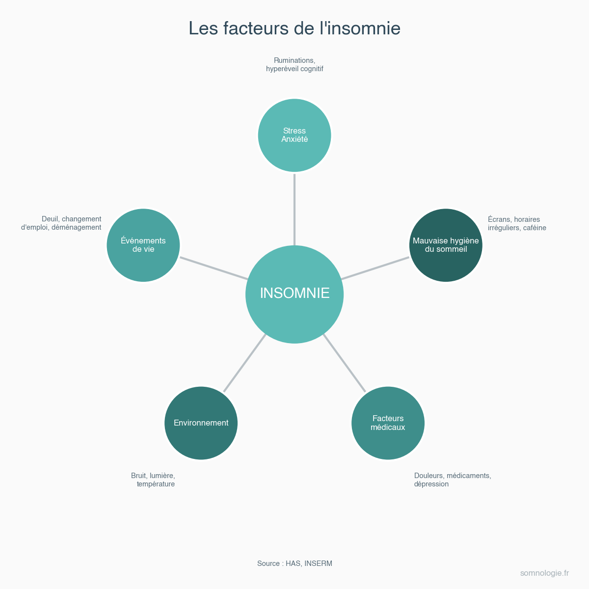 Infographie des principales causes d insomnie par categorie