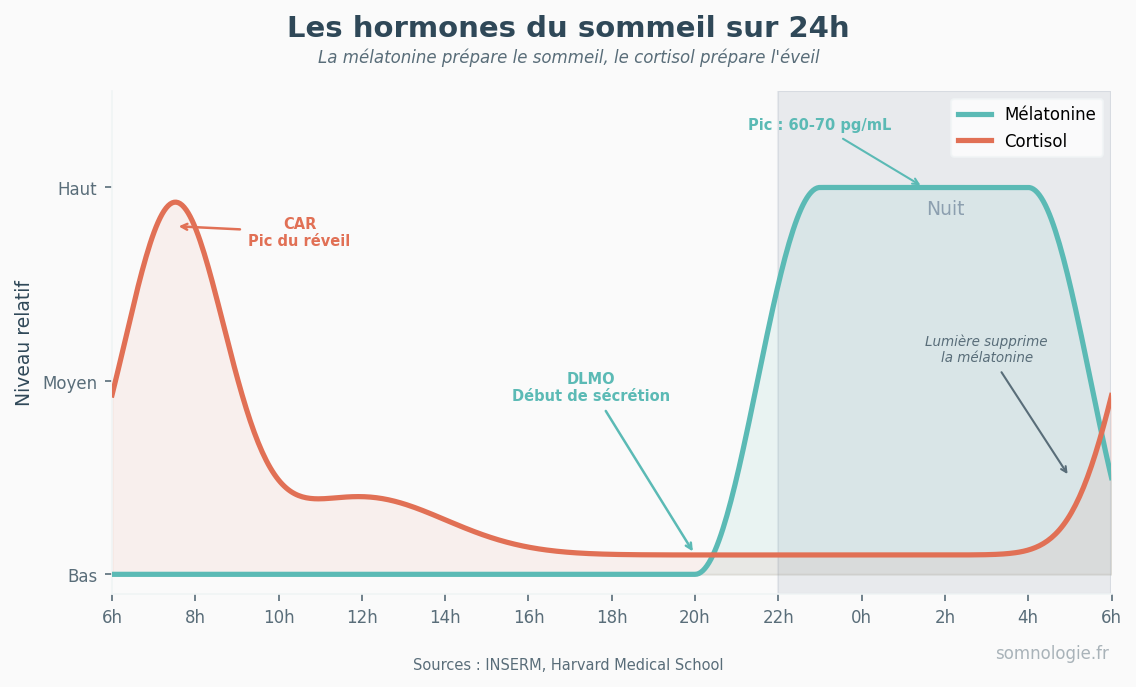 Courbes des hormones du sommeil sur 24 heures